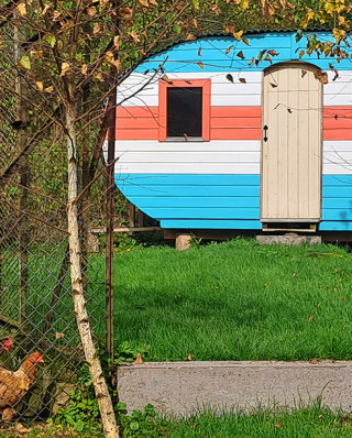 cabane-caravane-poules-oeufs