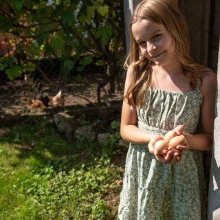 oeufs-enfants-poulailler