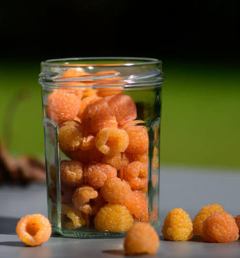 framboise-jaune-gourmandise