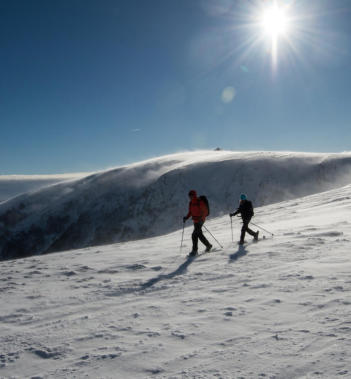 hohneck-raquette-vosges